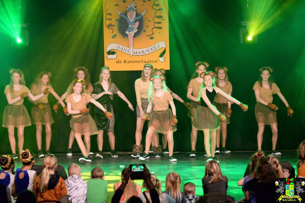 ../Images/Dansmariekefestival 2020 359.jpg